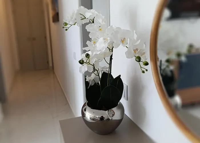 Casa Patricia * 阿尔布费拉