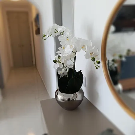 Casa Patricia * البوفيرا